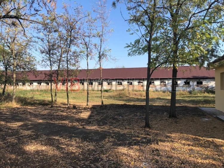 Ferma complet utilată – 30 ha teren comasat cu 11.500mp grajduri renovate Timiș - 2