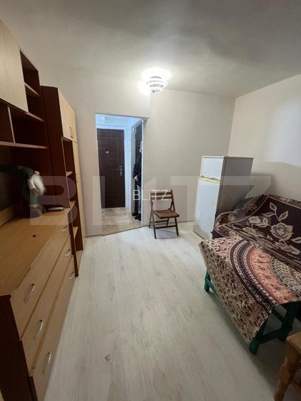 Camera de camin, 17 mp, zona Bularga - 4