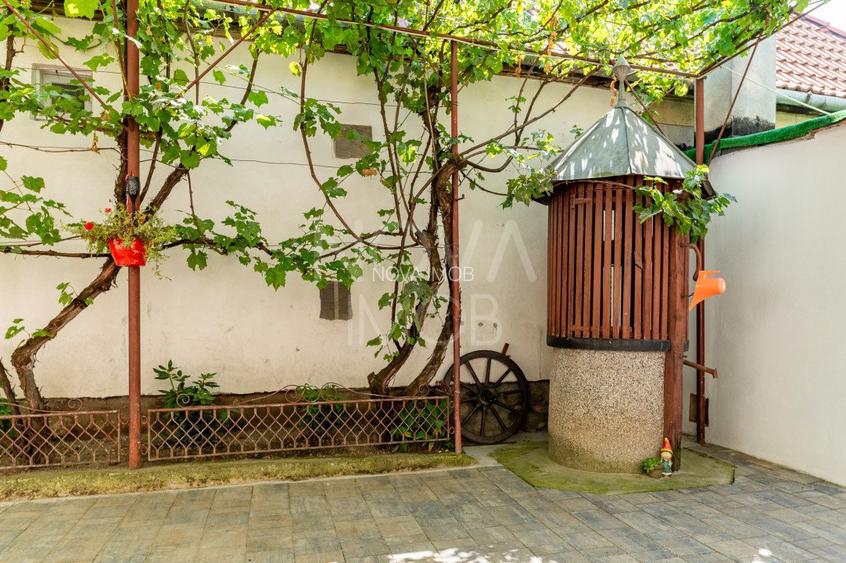 Casa + Pensiune deosebita - Orlat, Sibiu - 53