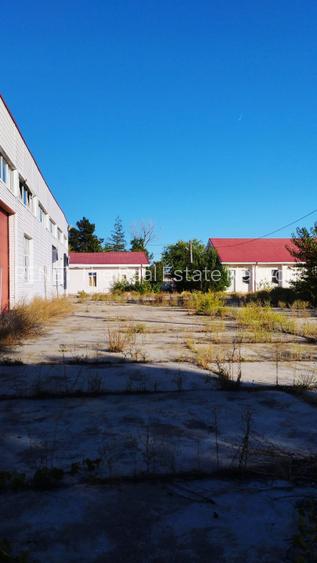 OCAZIE Complex industrial 4 hale producție + depozitare, 17.000 mp, des 180mp - 3