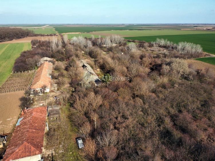 Ferma si livada de meri in judetul Ilfov - 10