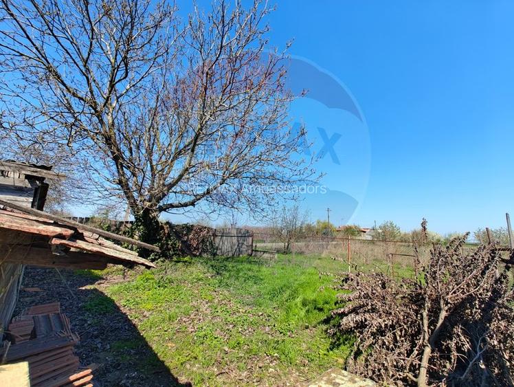 Casa de vanzare cu teren de 2175 mp,anexe si livada generoasa | Mailat - 17