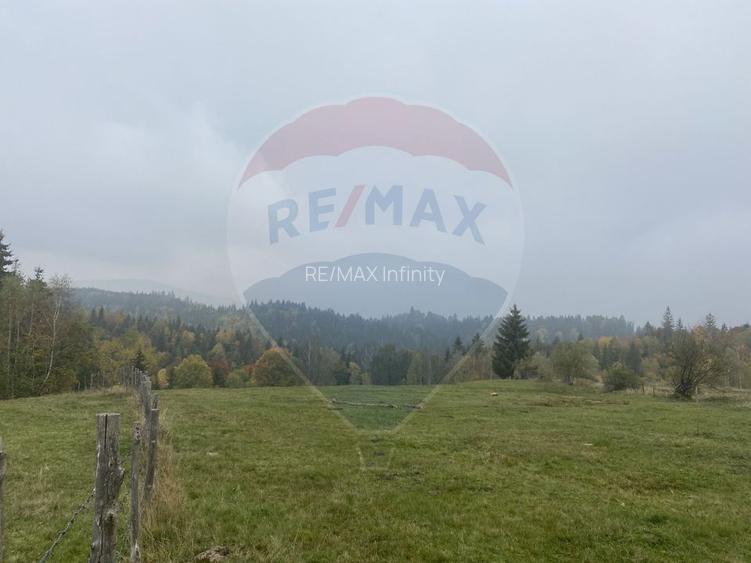 Teren de vanzare 8119 mp Calatele Padure.Muntii Apuseni - 12