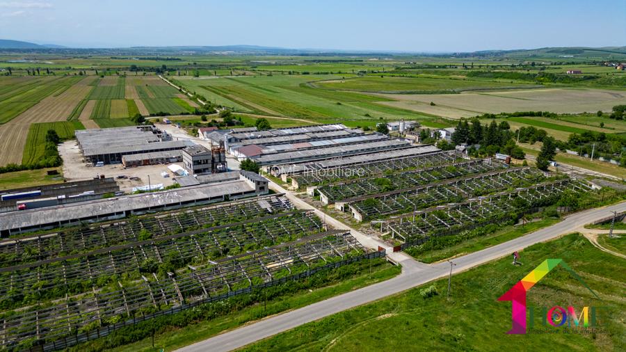 Teren 100.000 mp + Spatii Industriale Bacau - 14