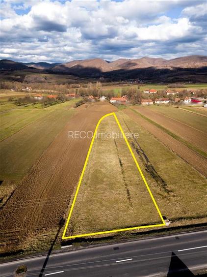 RECO , teren intravilan ,Zona Borod, Bihor - 7