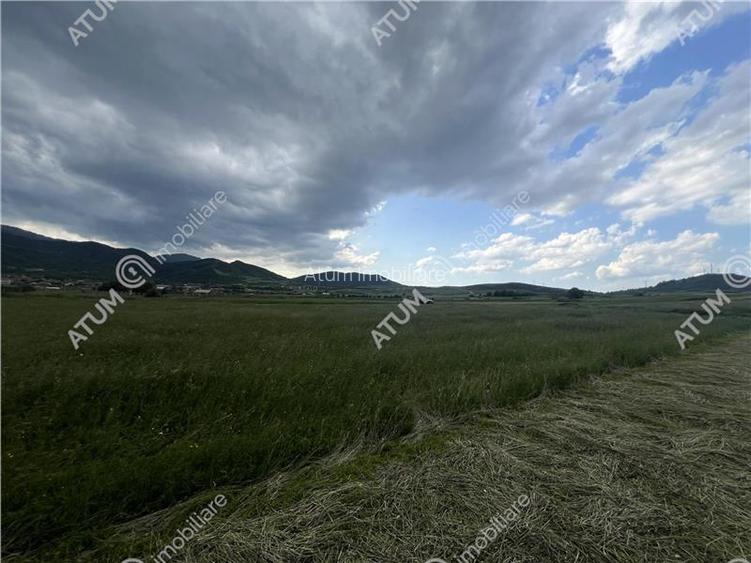 Teren intravilan de 3477 mp cu deschidere de 35 m in Boita - 6