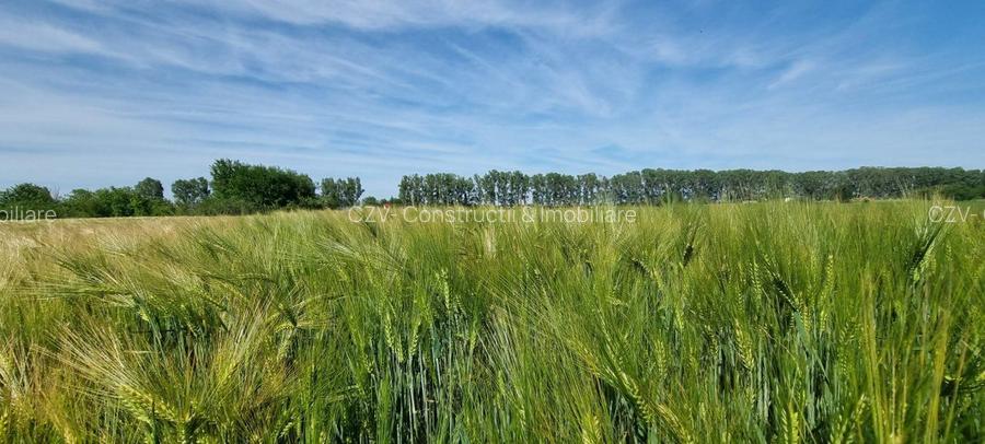 Ferma de Cultura Mare 1100 HA - 10