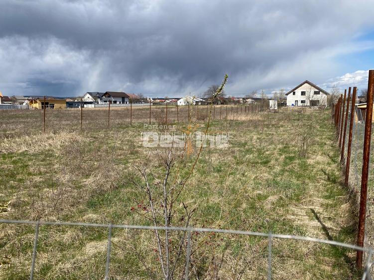 Teren de vanzare Dumbrava Rosie 20.000 Euro 900mp - 11