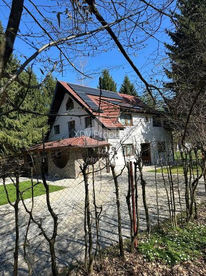 Pensiune/ Vila Valea Avrigului - 30