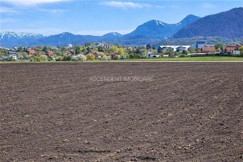 50.000mp teren intravilan, Clasa Master,  in Brasov spre Stupini - 3