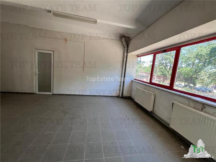 De inchiriat spatii comerciale, hale si birouri - 10