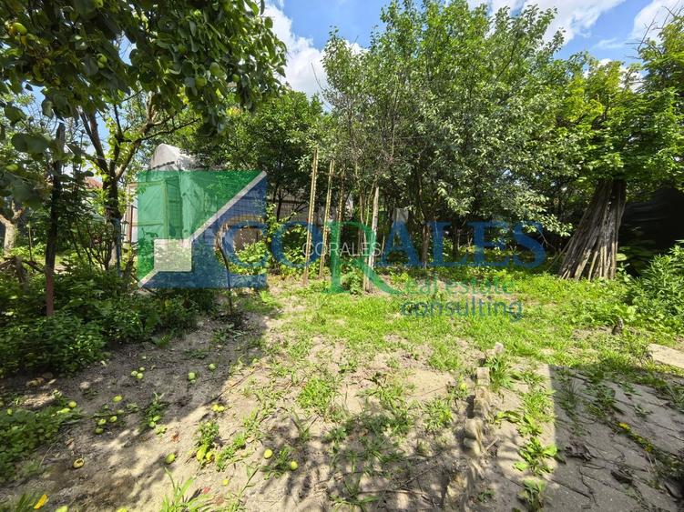 In apropiere de Profi!  Teren Generos! - 10