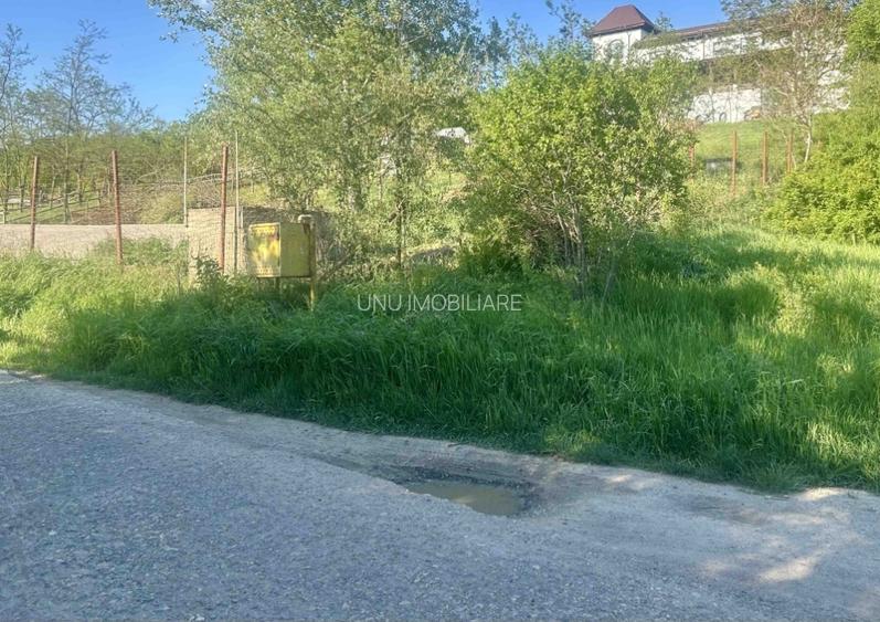 Teren 1000-2000mp intravilan in Gradina Botanica Iasi, 200€/mp, utilitati - 6