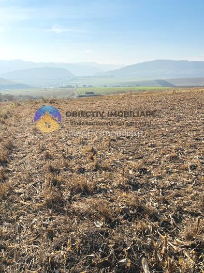 TEREN intravilan  comuna GARCINA - 5