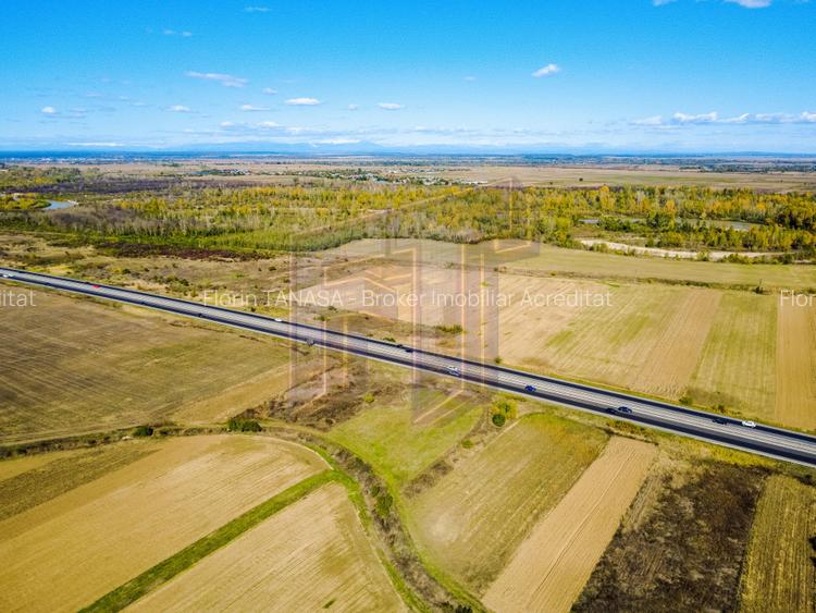 Terenuri industriale cu deschidere la A1, km 64 – Jugureni, Dâmbovița - 3