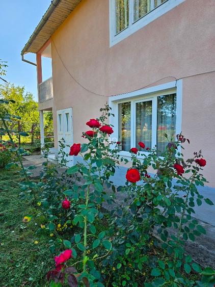 Oportunitate în Năsăud! Casă Spațioasă 250 mp + 13 Ari Teren | Proprietar Direct - 3