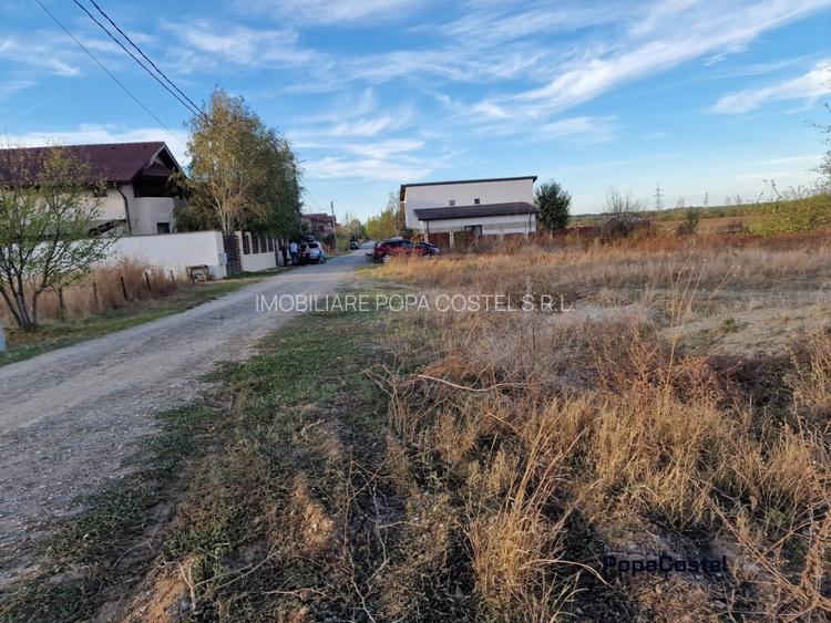 OCAZIE! Balotesti - Narciselor teren intravilan 427 mp desch. 20 m, utilitati - 3