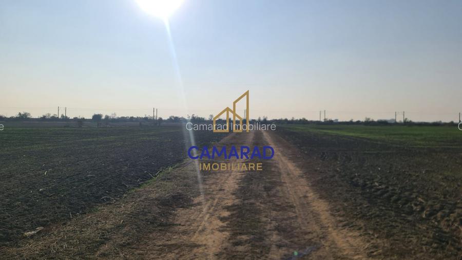 Teren intravilan de vanzare - zona industriala Domnesti/A1 - 4