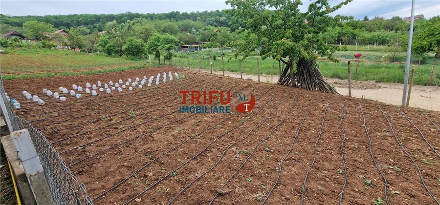 Teren de vanzare zona Micesti