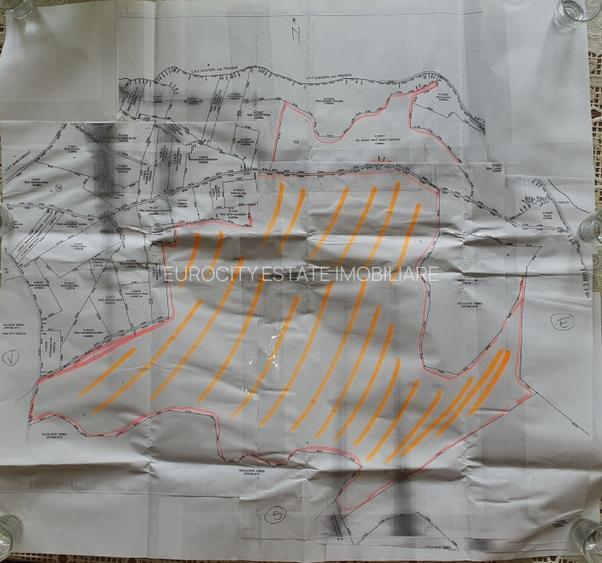 Vanzare 50 Ha pasune, judetul Prahova - 6