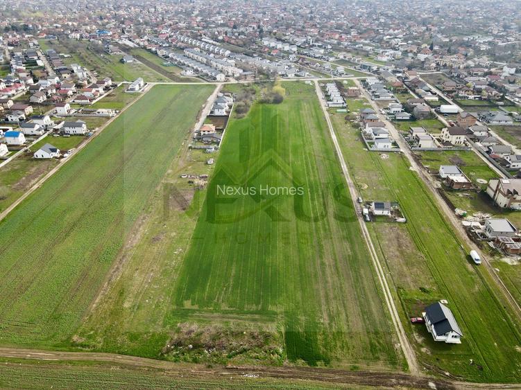 Teren | Berceni | Strada Campului -  acces la asfalt - optiune rate - 5