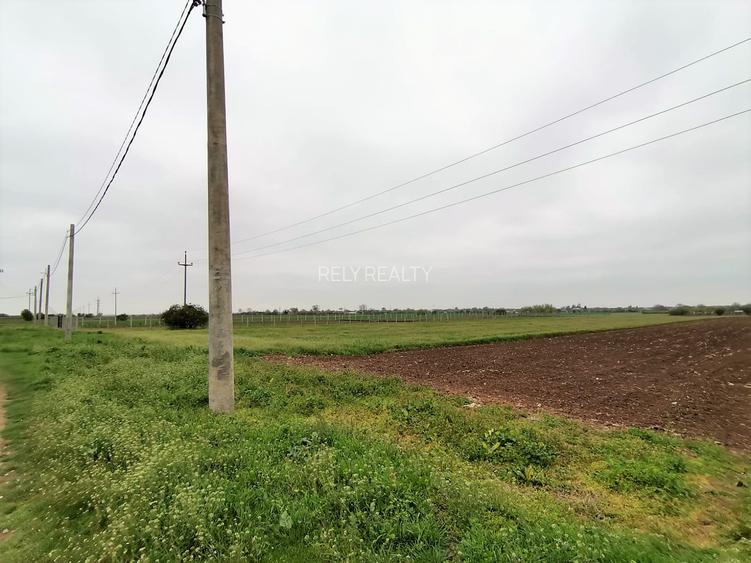 Teren Caracal / Str. Salcamului, 3.585 mp, 7 EUR / mp, comision 0% - 5