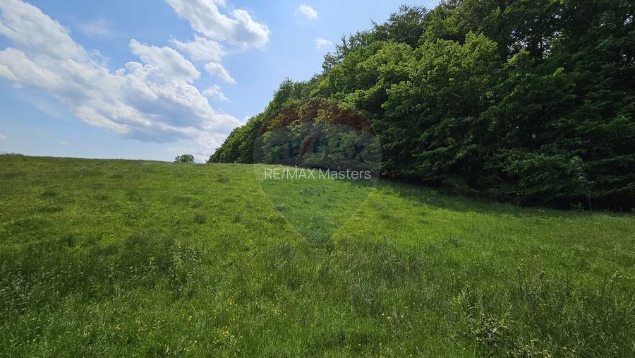 Teren Ilisesti  7000mp extravilan/ DN 17, Suceava - 27