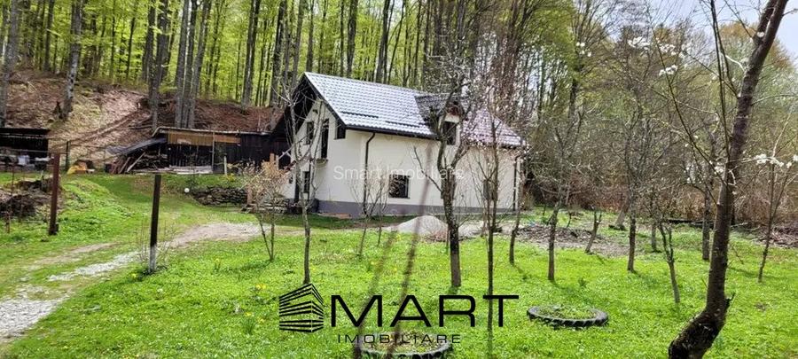 Cabana 4 camere zona Valea Avrigului - 3