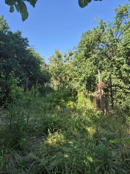 Vand Casa in duplex , curte si gradina proprie, zona Lunei-Printul Turcesc - 11