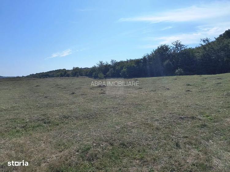 Închiriez teren intravilan - 3