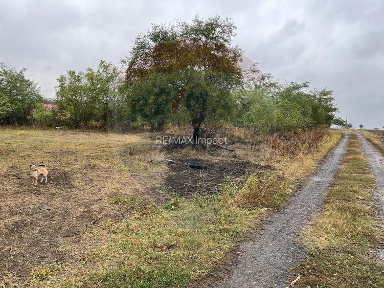 Teren intravilan 1700 mp, de vanzare, A2,  Sarulesti, Polcesti - 5
