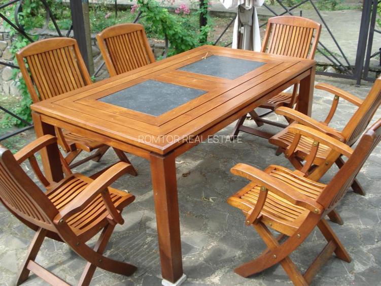 Campina Valea Doftanei Sotrile Paltinu - 30