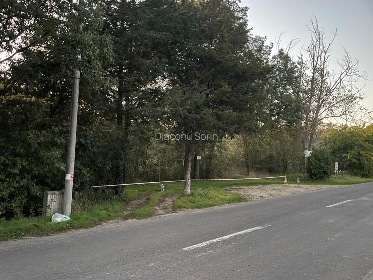 Teren intravilan construibil – 1.000 mp | Jupiter – Sat Vacanta Zodiac - 3