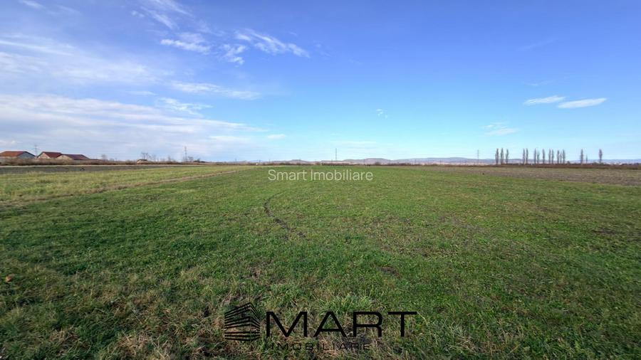 Teren Extravilan 15.000 mp Prejmer - 4