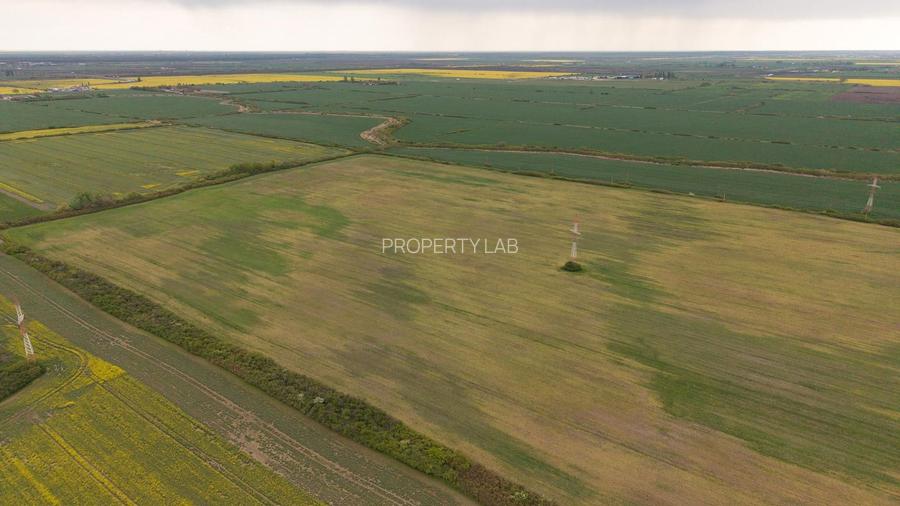 Teren investițional strategic 44.700 mp Arad Vest - 12