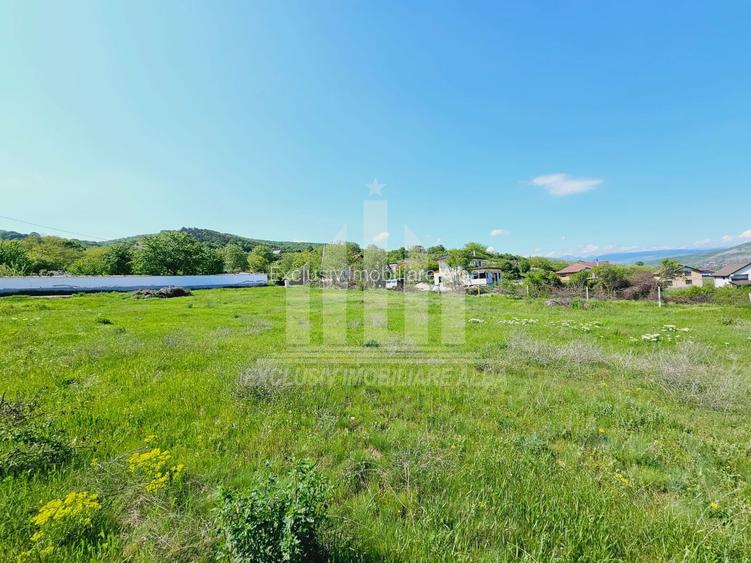 Teren intravilan | De vanzare | 3000 mp | 85 ml deschidere | Micesti - 5