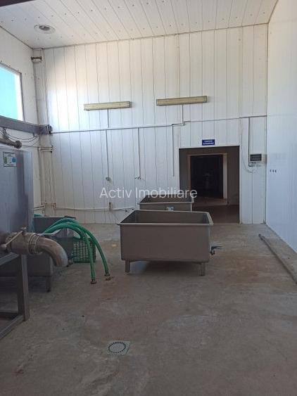 HALA ideala pentru PRODUCTIE ALIMENTARA, Poiana, Ovidiu – 827 mp, teren 4066 mp - 22