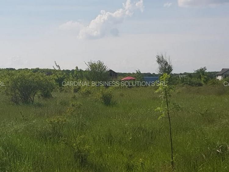 Ciolpani, zona Cimitir Britanic, stradal - 17