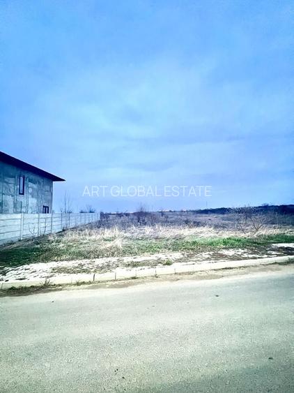 Teren Intravilan Zurbaua Dragomiresti 500mp - 5