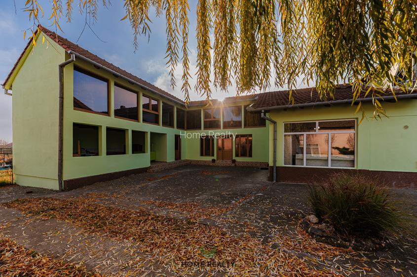 COMISION 0% I Casă + Teren - 3.763 mp I Peciu Nou - str. Principală. - 28