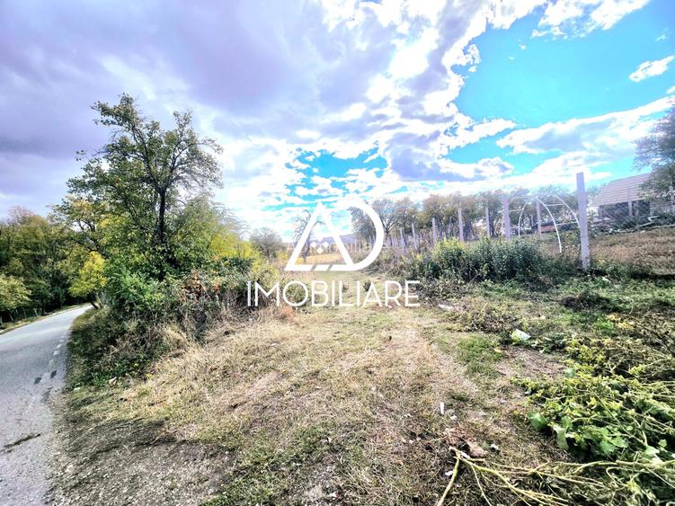 Teren intravilan 2905 mp – comuna Bălănesti jud.Gorj - 4