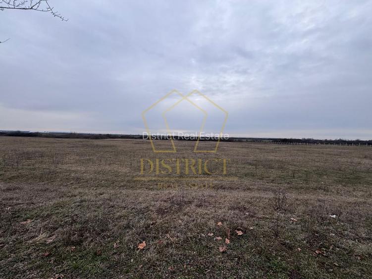 COMISION 0% Teren extravilan 1 ha | Recas - 2