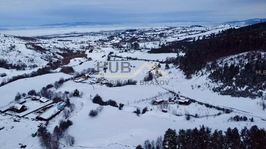 Teren cu PUZ - Tabara de Vacanta + Constructie Tiny Hous |  10 Cabane A-Frame - 6