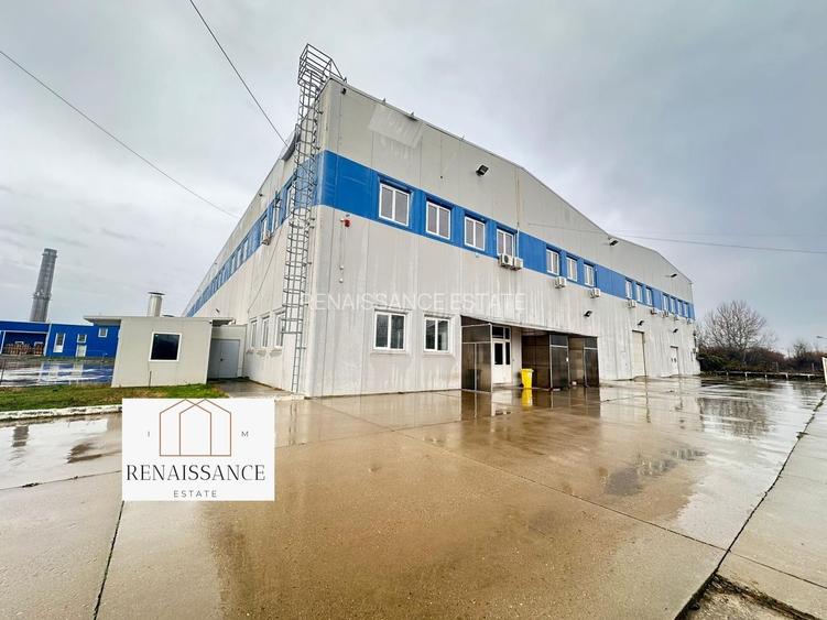 Hala Moderna 6200mp | Panouri Solare - Freidorf - Acces la Centura - 8