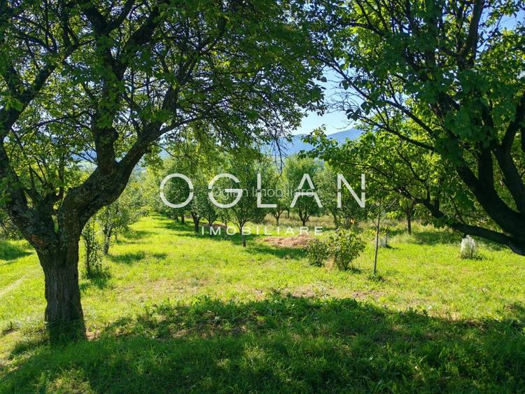 Terenul pe care se cladeste visul tau – Tocile, Sibiu - 8