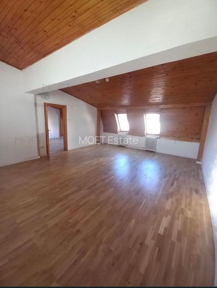 Vila  Aviatiei Herastrau pretabila pentru diverse activitati - 5