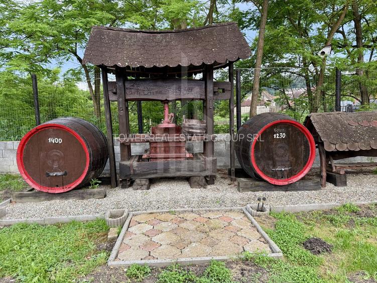 Pensiunea Polyana – business la cheie în inima stațiunii balneoclimaterice Bazna - 19