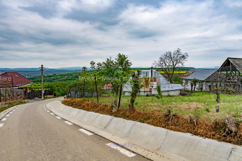 Casă din chirpici, bucătărie de vară și 1.34 ha de teren, Ardeoani - 3