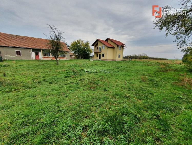 Casa cu 5 camere, 236 mp, teren 5805 mp, Brestea - Denta  - 39