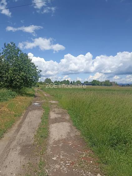 De vânzare teren extravilan la Sfântu Gheorghe - 6